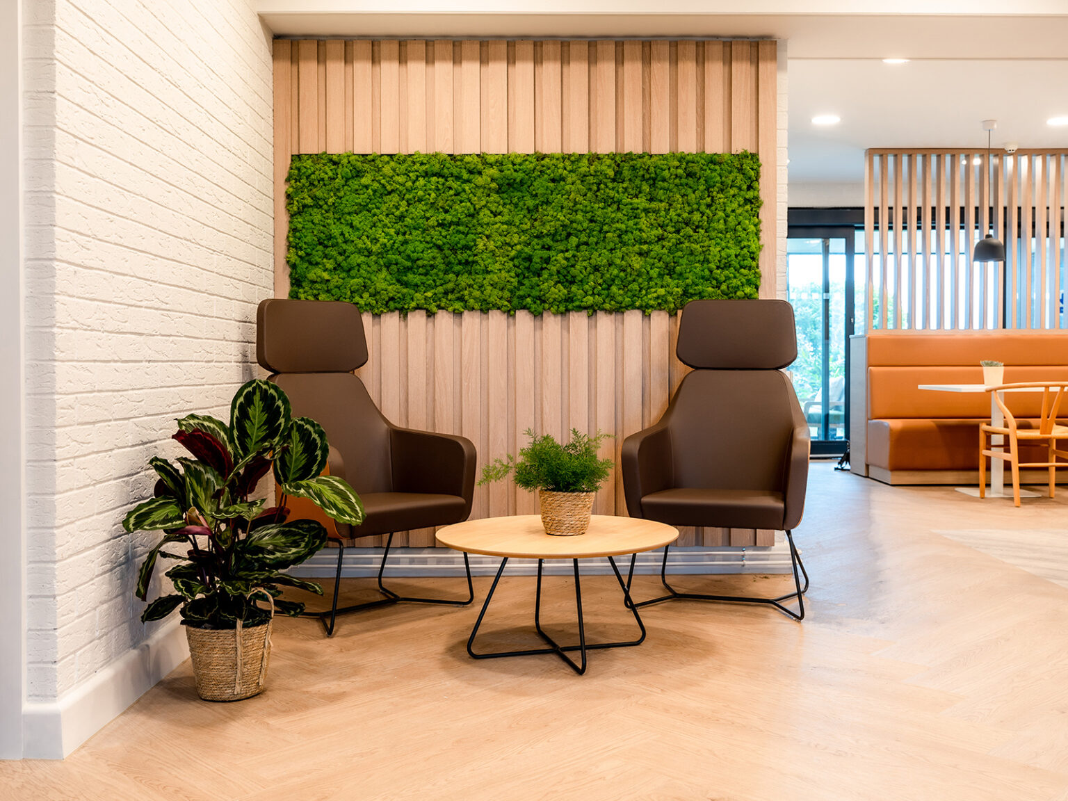 day therapy gallery_0002_DSC01280