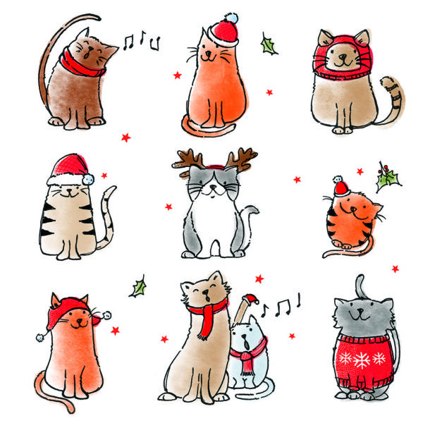 Cathod Nadolig / Festive Cats