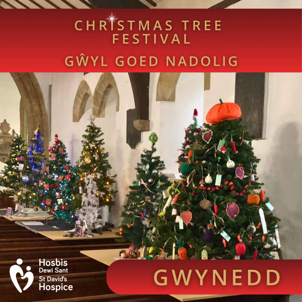 Gwynedd Christmas Tree Festival