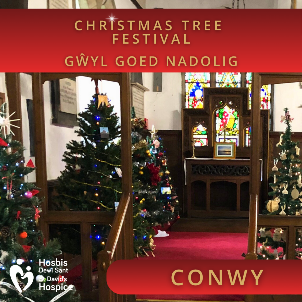Conwy Christmas Tree Festival
