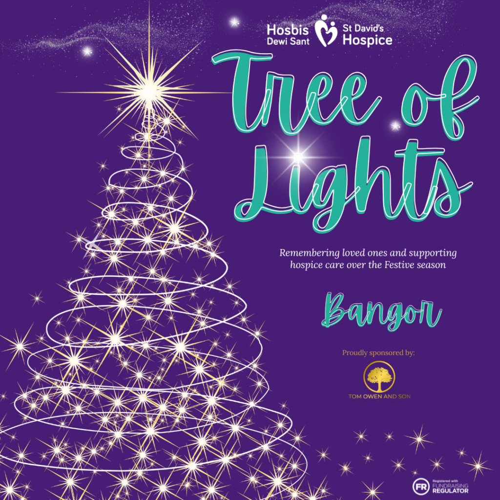 Bangor Tree of Lights