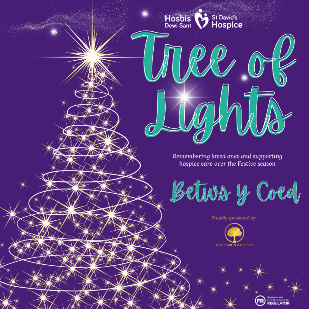 Betws y Coed Tree of Lights
