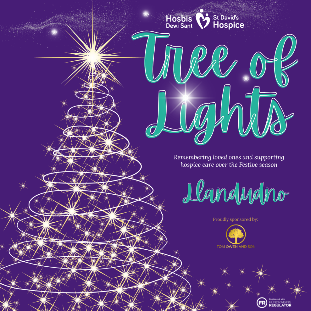Llandudno Tree of Lights